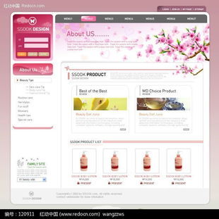 專業(yè)日化洗滌用品網(wǎng)頁模板設(shè)計(jì)下載與網(wǎng)絡(luò)技術(shù)服務(wù)解析